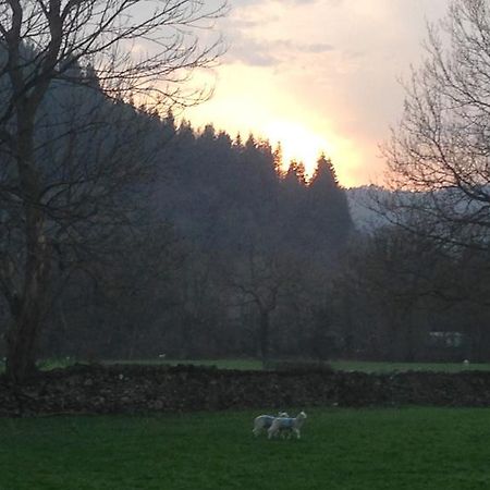 Vila Tyddyn Bach Barn Betws-y-Coed Pokoj fotografie