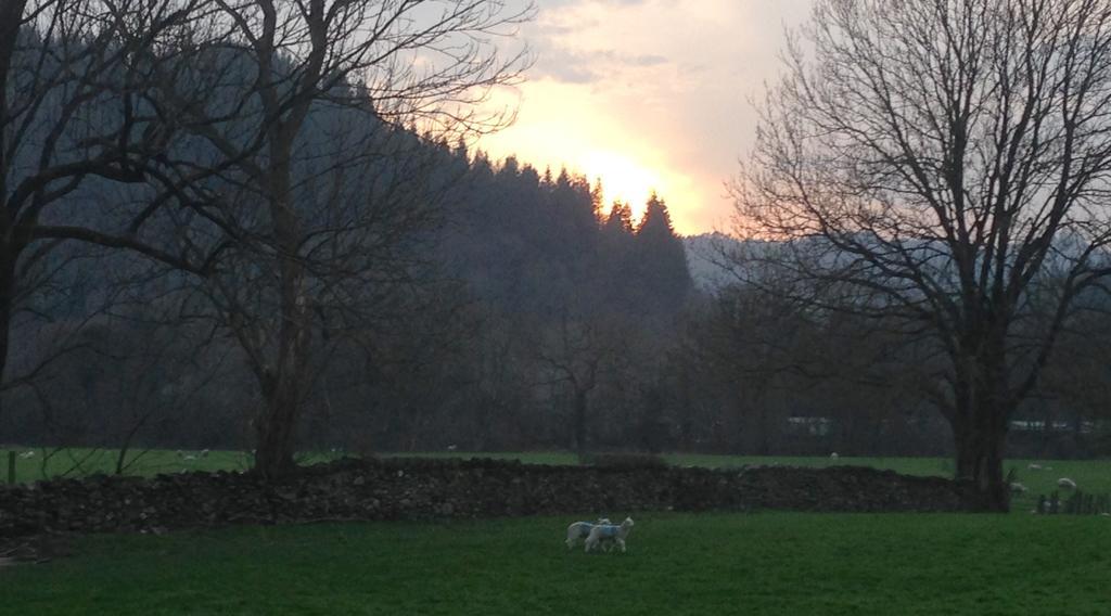 Vila Tyddyn Bach Barn Betws-y-Coed Pokoj fotografie